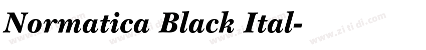 Normatica Black Ital字体转换
